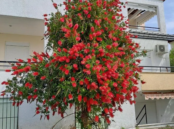 Apartmán Kalipso Family *