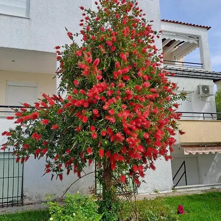 Apartman Kalipso Family *